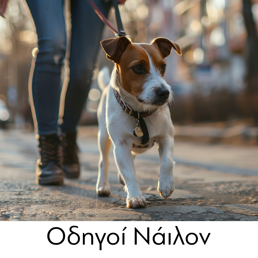 GLEE Οδηγοί Νάιλον