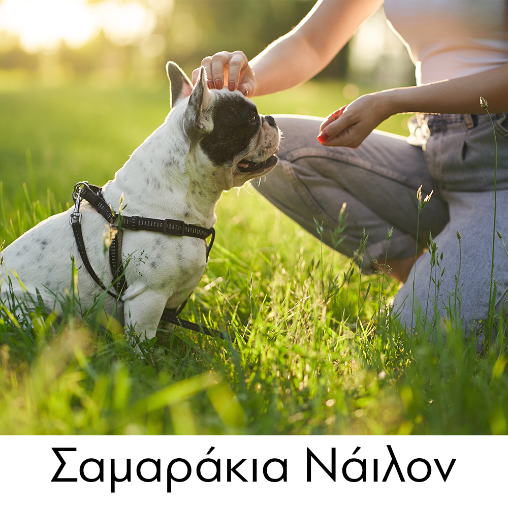 GLEE Σαμαράκια Νάιλον