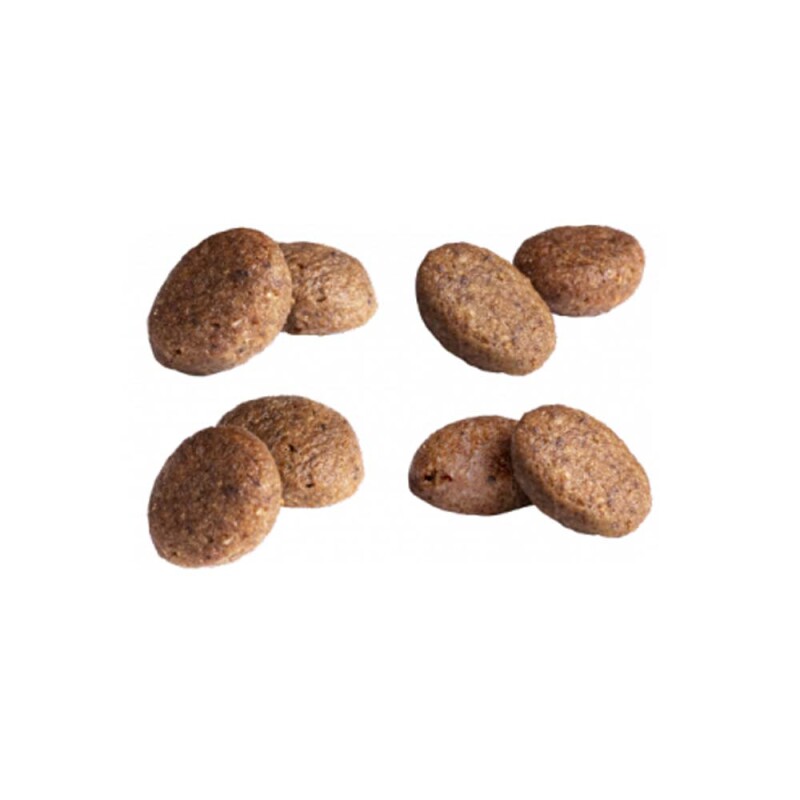 EUROPREMIUM Adult Medium Derma - Σολομός