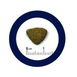 ADVANCE Medium - Adult