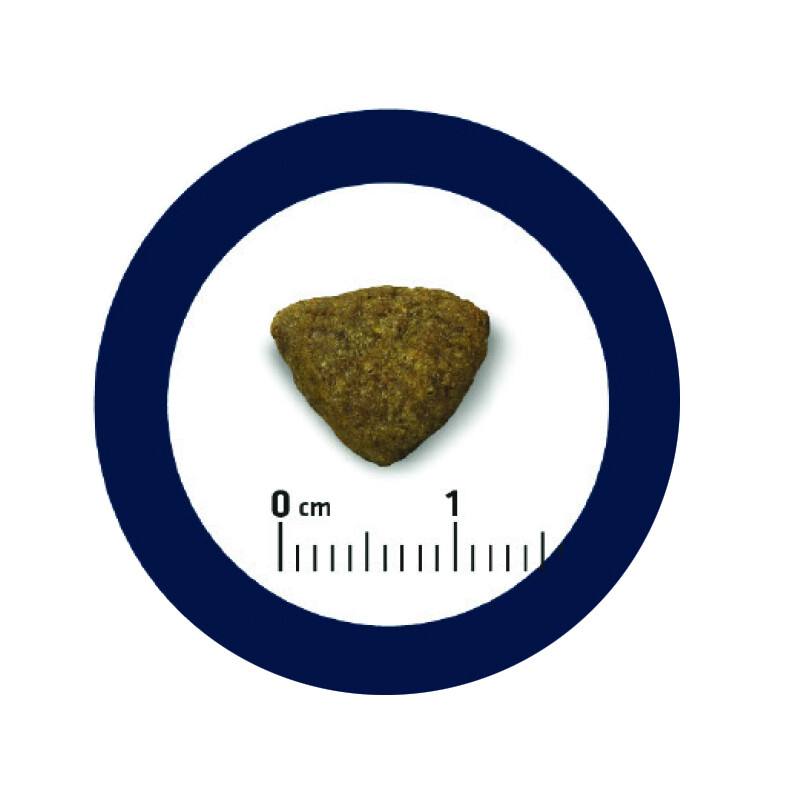 ADVANCE Medium - Adult