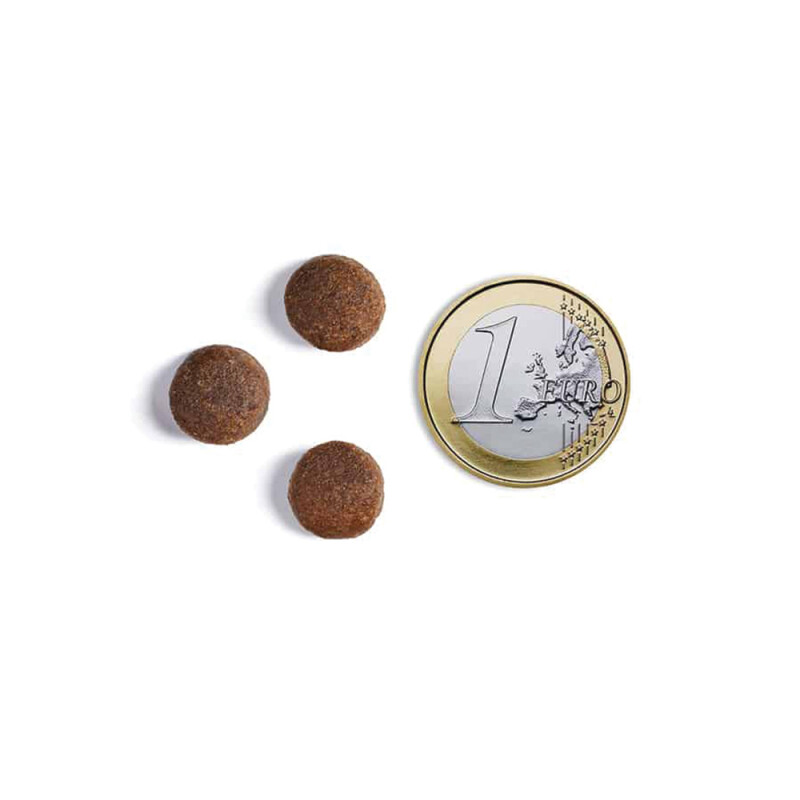 AMBROSIA Senior Mini Light Sterilized Fresh Salmon & Turkey 1,5kg