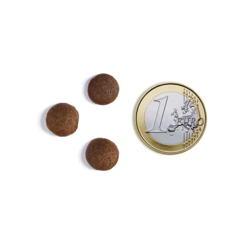 AMBROSIA Adult Fresh Turkey & Chicken 12kg