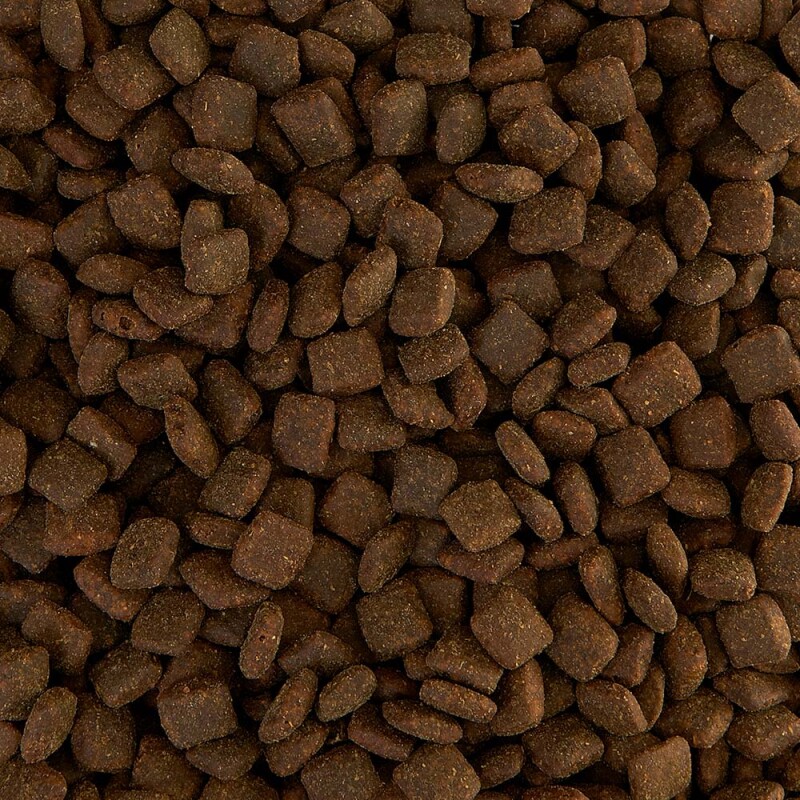 AATU Adult Πάπια Ελευθέρας Βοσκής