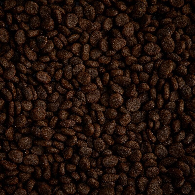 AATU Adult Cat Σολομός & Ρέγγα