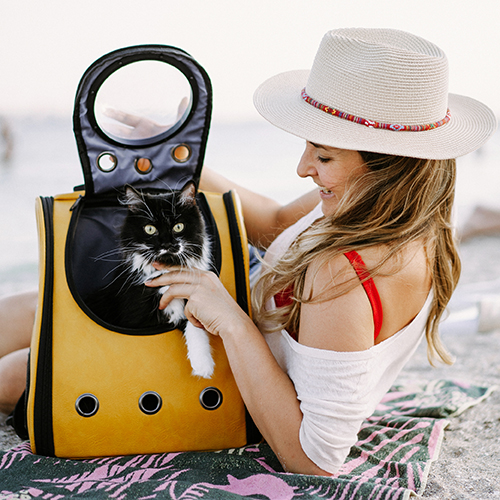 Τσάντες Μεταφοράς