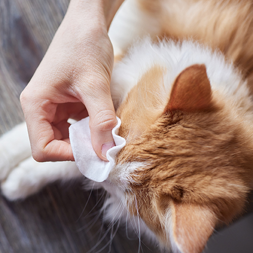 Υγρά Μαντηλάκια