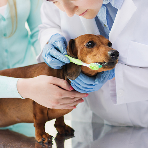 Οδοντική Φροντίδα