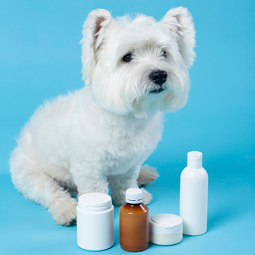 Συμπληρώματα Διατροφής