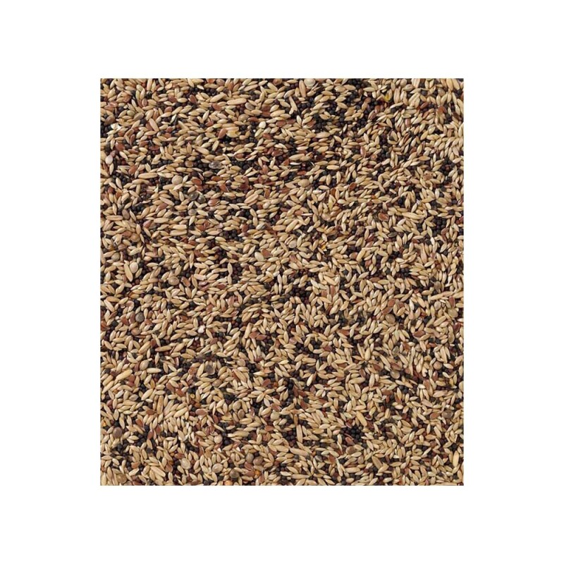 DELI NATURE 53 - Τροφή για Καναρίνια