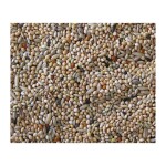 DELI NATURE Premium - Budgies 1kg