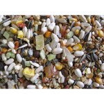 DELI NATURE Premium - Parrots 800gr