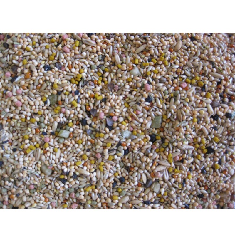 DELI NATURE Birdelicious Budgies 800gr