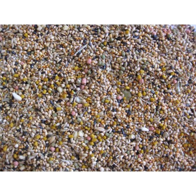 DELI NATURE Birdelicious Foreign Finches 800gr