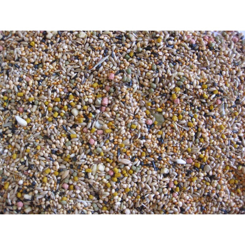 DELI NATURE Birdelicious Foreign Finches 800gr