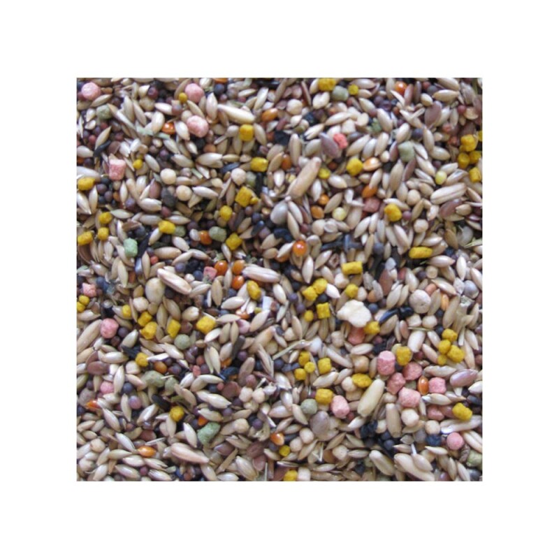 DELI NATURE Birdelicious Canaries