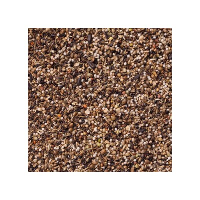 DELI NATURE Birdelicious Carduelis Goldfinches