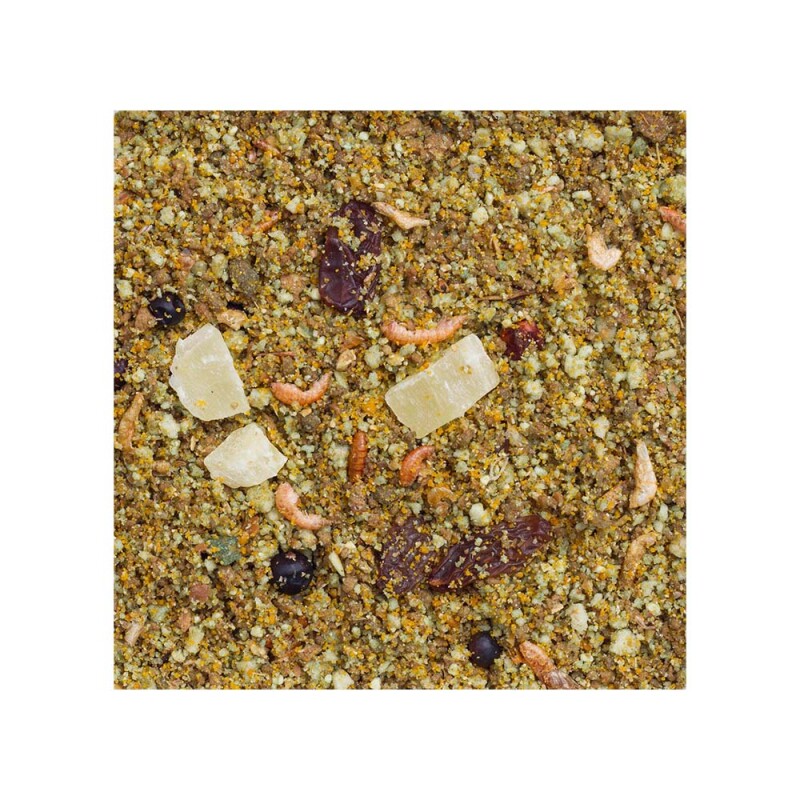 DELI NATURE Fruit Pate 4x1kg