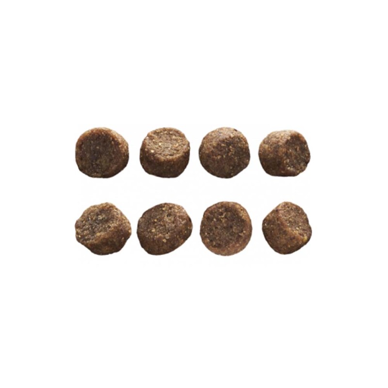 EP SMALL ADULT LAMB & RICE 3Kg