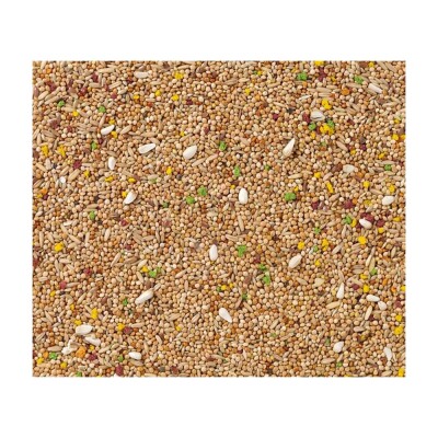 DELI NATURE 01 - Τροφή για Παπαγαλάκια 20kg