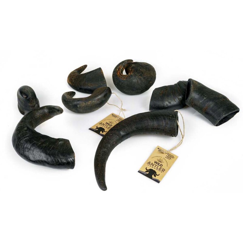 Φυσικό κέρατο Βουβαλιού Medium 251-400gr