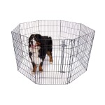 GLEE Μεταλλικό πάρκο περιορισμού | XXLarge