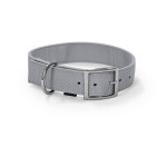 GLEE Περιλαίμιο Grey | L 25mmx56cm