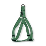 GLEE Σαμαράκι Teal | L 25mmx71-81cm