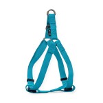 GLEE Σαμαράκι Petrol | S 16mmx41-51cm