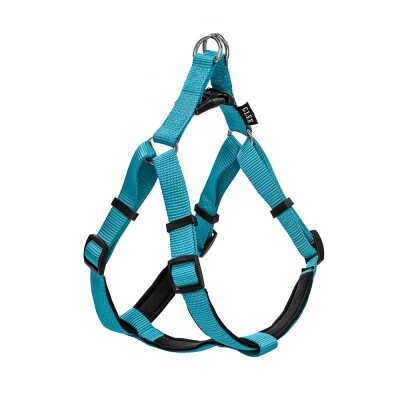 GLEE Σαμαράκι Neoprene Petrol | L 25mmx71-81cm