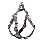 GLEE Σαμαράκι Neoprene Grey | XS 10mmx25cm-36cm