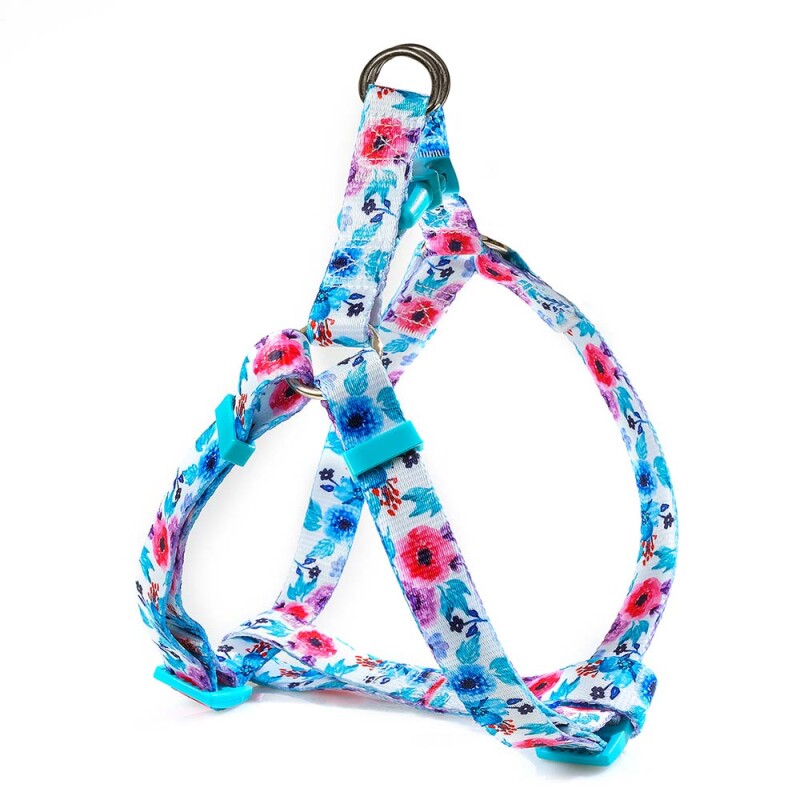 GLEE Λουράκια, Περιλαίμια, Σαμαράκια με σχέδια Peony