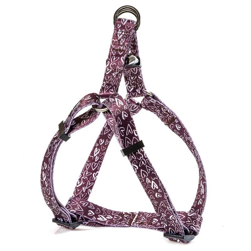 GLEE Σαμαράκι Ιμάντα τύπου Α Hearts | M 20mmx35-60cm