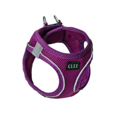 GLEE Σαμαράκι Joy Purple | 3XS