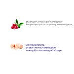 NATURAL TRAINER Kitten - Fresh Chicken 1,5kg