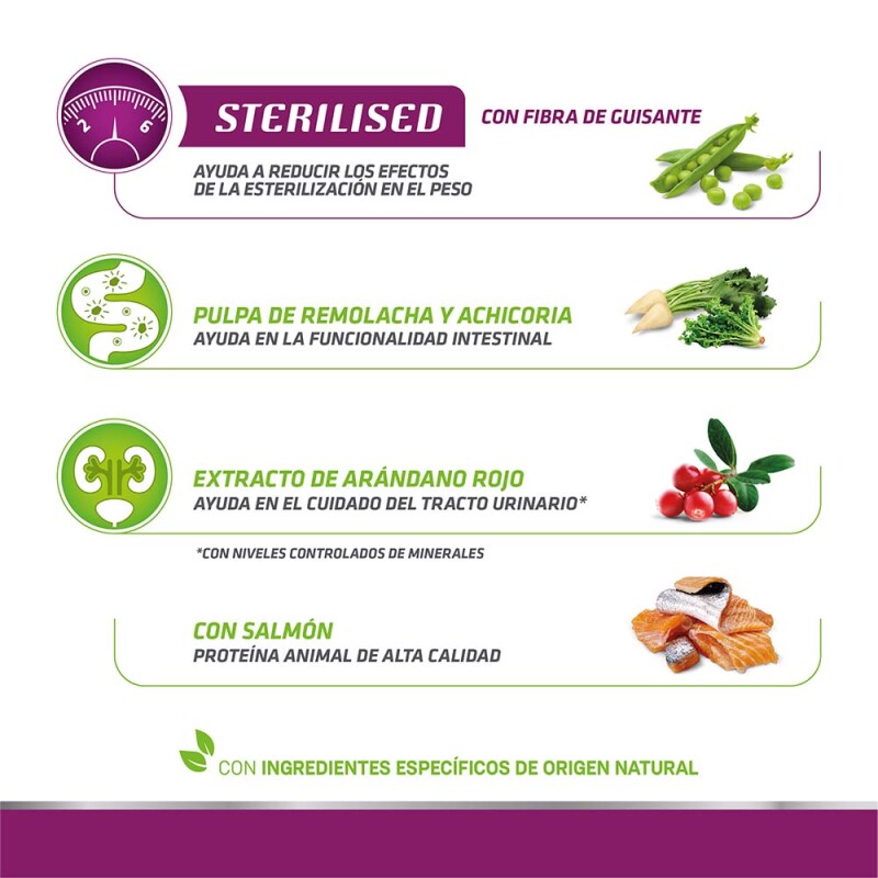 NATURAL TRAINER Adult Sterilised - Salmon