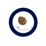 ADVANCE Puppy - Initial 3kg