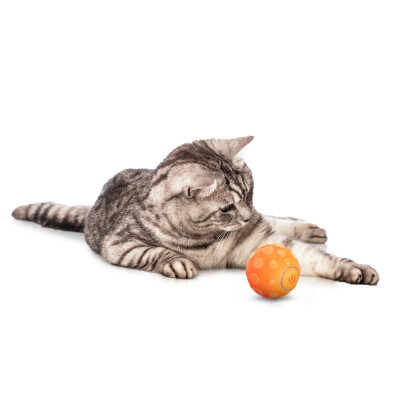 AFP Παιχνίδι Γάτας Modern Cat Thrill Jumping Ball