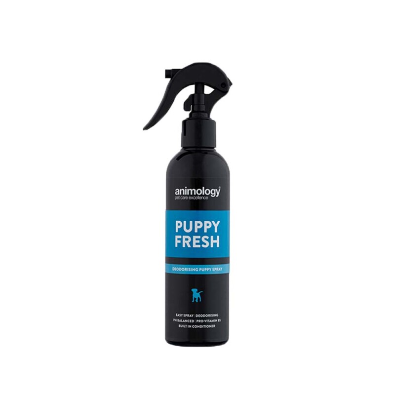 ANIMOLOGY Spray Στεγνού Καθαρισμού 250ml