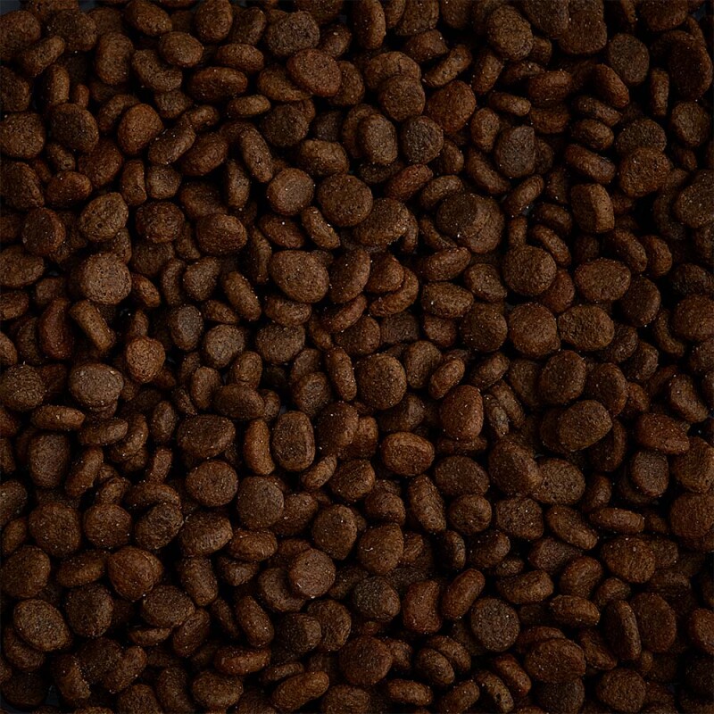 AATU Adult Cat Πάπια Ελευθέρας Βοσκής 1kg