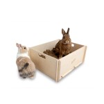 BUNNY INTERACTIVE Digging Time