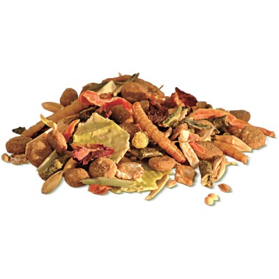 BUNNY Dwarf Hamster Dream Basic 600gr