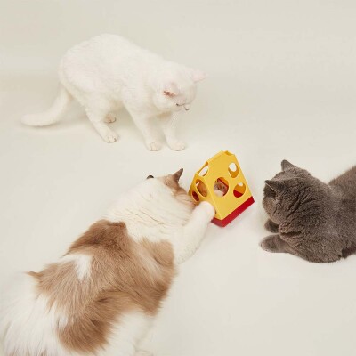 FOFOS Mouse in cheese