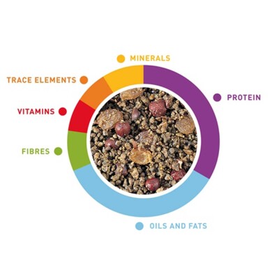 PADOVAN GranPatee - Fruits 1kg