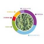 PADOVAN Melange - Vegetables 300gr