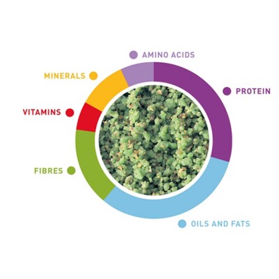 PADOVAN Melange - Vegetables 300gr