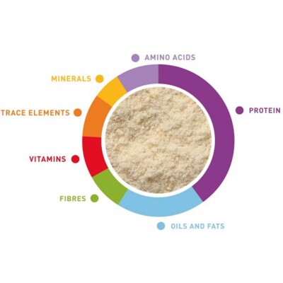 PADOVAN Baby Patee - Parrots 900gr