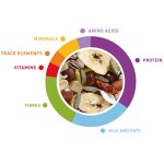 PADOVAN Wellness - Parrots 750gr