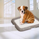 PW Βάση Εκπαιδευτικής πάνας (60χ60cm)