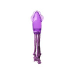 PAWISE TPR Dog Toy Squid